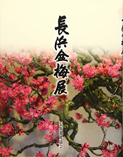 スマホ 無料電子書籍 長浜盆梅展 バイ