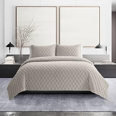 Vera Wang Velvet Quilt Set with Shams Cover