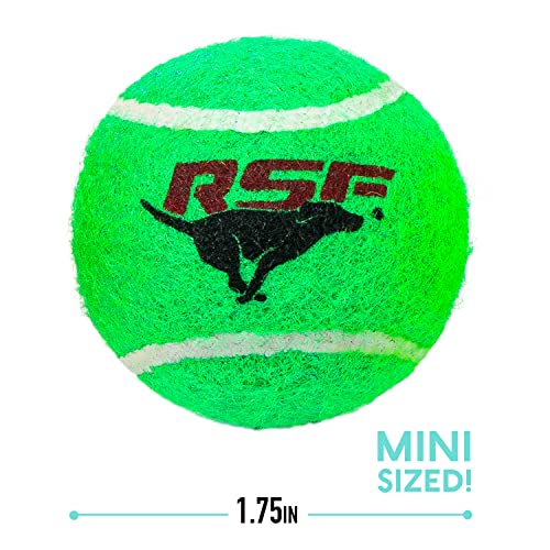 Franklin Pet Supply Co. RSF Squeak Mini 1.75" Tennis Balls - 4 Pack - for Small Dogs - Floats in Water - Image 3
