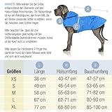 Bella & Balu Hunderegenmantel - Wasserdichter Hundemantel mit Kapuze und Reflektoren für trockene, sichere Gassigänge, den Hundespielplatz und den Urlaub mit Hund (XS - Orange)