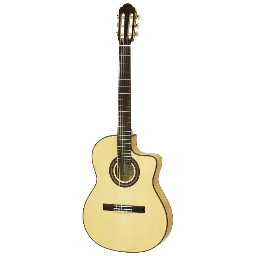 Amazon | ARIA A-90CWE Basic Electric Cutaway エレガット