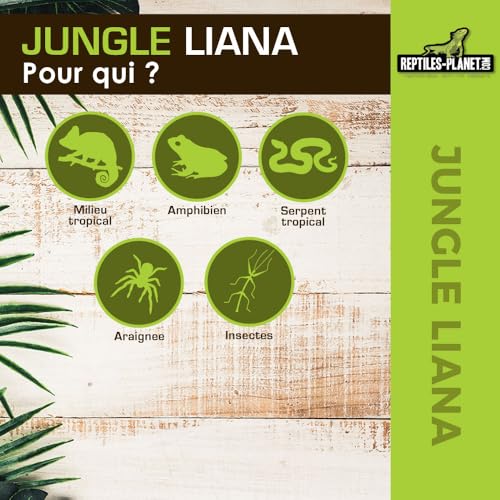 Reptiles-Planet Jungle Liana Artificial Vine Terrarium Decoration, Braun
