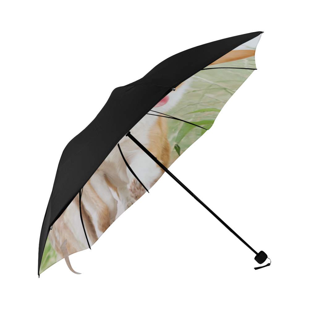 Tobe Yours Travel Compact Umbrella Pet's Cat Dog Photo Or Text Image DIY Personalized Custom Sun/Rain All Wheather Windproof Auto Folding Foldable