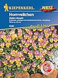 hornveilchen vermehren Das zweijährige Hornveilchen 'Helen Mount' verschönert Staudenrabatten, Einfassungen und Steingärten. Auch für Gruppenpflanzungen ist die Sorte gut geeignet. Mit einer Höhe von ca. 20 cm gehört dieses Hornveilchen zu den niedrig wachsenden Sorten.