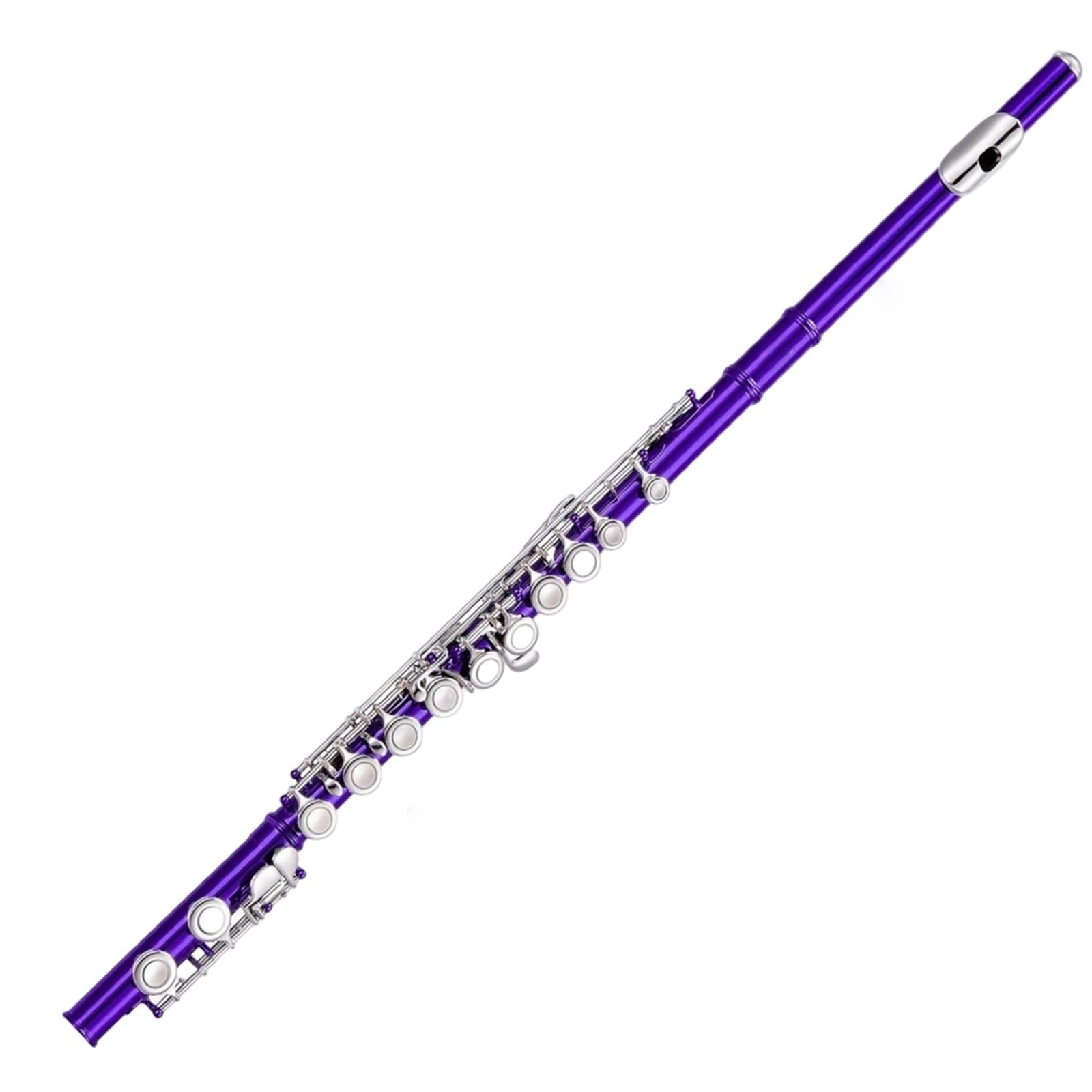 Flet Instrumenty Muzyczne Standardowy 16 Zamkniętych Otworów W Tonie C Niklowany Flet E Profesjonalne Wykonanie Trwałe(Purple)