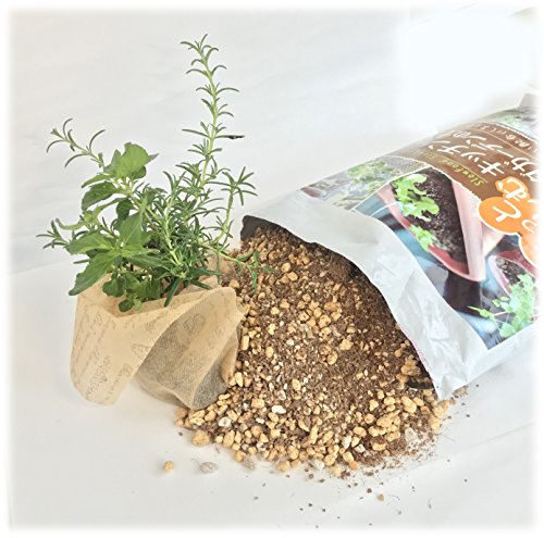 培養土のおすすめ19選 室内で育てる観葉植物用も Heim ハイム