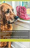 The Mysterious Alligator Rock (The Adventures of Red Boots Georgie Lou and Huckleberry Book 1) (English Edition)