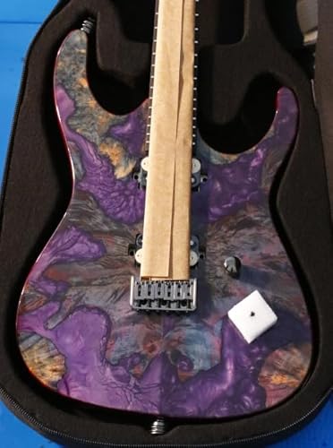 Leo Jaymz Electric Guitar Monsoon Deluxe See What You Get