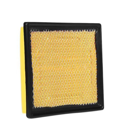 Filtre à air 04861480AA : évitez la perte de puissance Chrysler Voyager 4