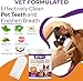 DEVO-T 100% Natural Dog Teeth Cleaning Wipes Mint Scented | 100 Count | Pet Teeth Cleaning Finger Wipes for Dogs, Cats & Horses | Remove Bad Breath, Plaque & Tartar Buildup | Dog Dental Wipes Finger