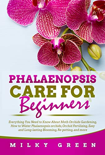 Phalaenopsis Care for Beginners: Everything You Need to Know About Moth Orchids Gardening, How to Water Phalaenopsis orchids, Orchid Fertilizing, Easy and Long-lasting Blooming, Re-potting, and more