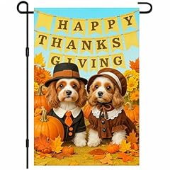 Cavalier Spaniel Dogs