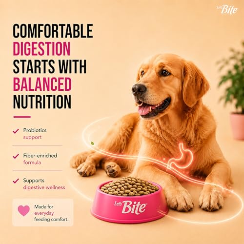 Image of Let's Bite Active Adult Dry Dog Food 10kg + 1kg Free (Total 11kg)