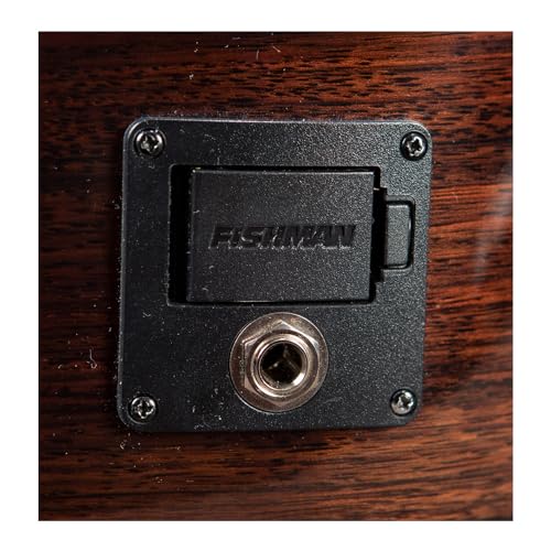 Breedlove PFCN18CEEUIR Organic Performer Pro Concert Ce Acoustic-Electric Guitar thumb #6