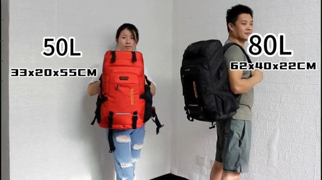 [peak motion] アウトドア バックパック 登山リュックサック 80L Amazon.co.jp: [peak motion] アウトドア バッグ 登山バッグ 80L