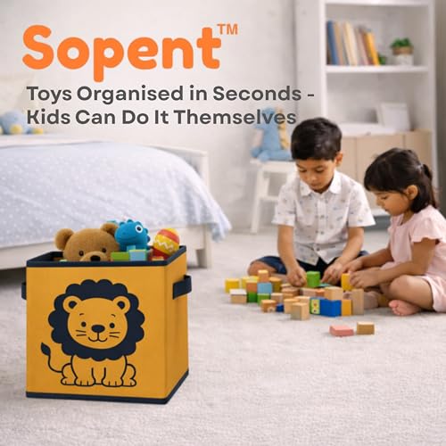 Image of Sopent Foldable Storage Boxes (Lion)