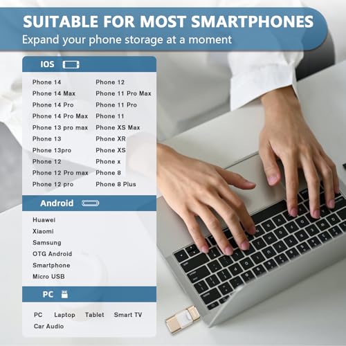 Image of 256GB Flash Drive[No App Required] Intended for Phone Tablet Androidphone and Computers, 4 in 1 Photo Stick for Phone Memory Storage Easily Backup Photos Videos（Gold）