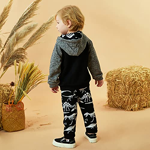 Image of HINTINA Baby Boys Dinosaur Long Sleeve Hoodie Tops Sweatsuit Pants Winter Outfit Set