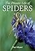 The Private Life of Spiders