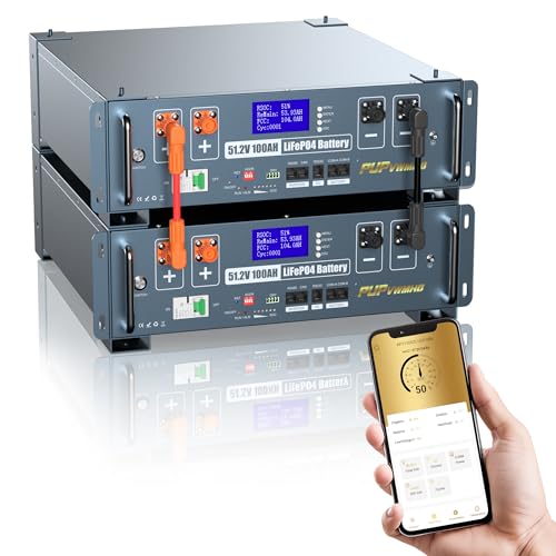 Batteria Server Rack LiFePO4 48V 200Ah (10240Wh), 2 unità. Include: BMS 100A, WiFi/Bluetooth, soppressione incendi automatica, kit rack 3U. Ideale per accumulo solare e backup domestico.