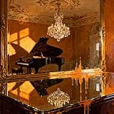 immagine banner Amazon