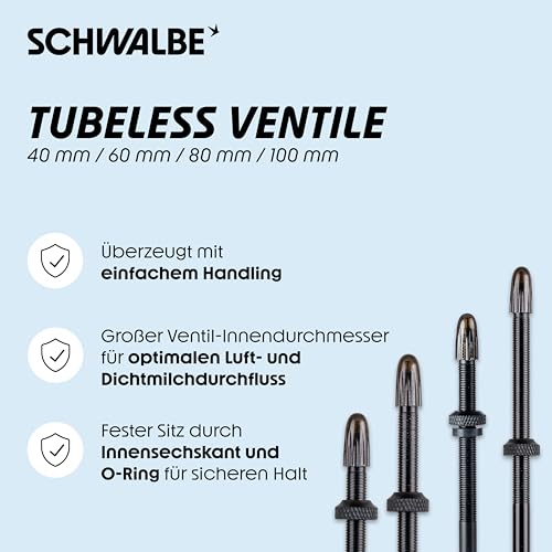 Schwalbe Tubeless Ventil Set 2er Set für Tubeless Reifen