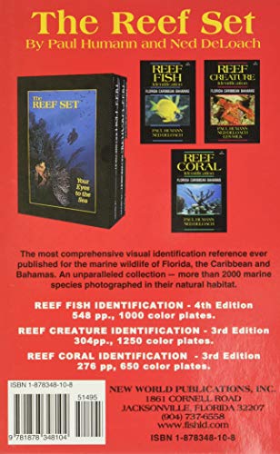 Snorkeling Guide to Marine Life Florida, Caribbean, Bahamas - Image 2