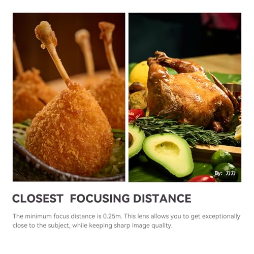 Lente Macro TTArtisan F2.8 100mm Nikon F Negro - Fernando Cortés Lente Macro TTArtisan F2.8 100mm Nikon F Negro - Fernando Cortés