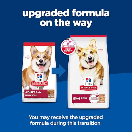 Image of Hill's Science Diet Adult 1-6 Small Bites Dry Dog Food, Lamb Meal & Brown Rice, 15.5 lb. Bag