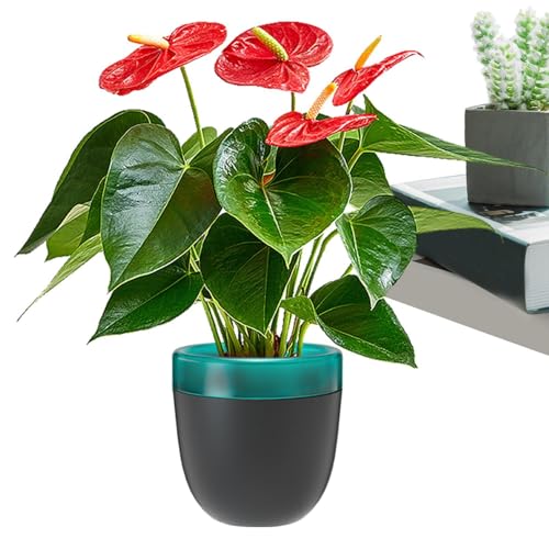 Maceta de jardinería para hierbas aromáticas – Maceta para orquídeas Wick, depósito de agua interior | Resina para riego automático de flores para riego con robustos materiales ABS + PP, maceta para