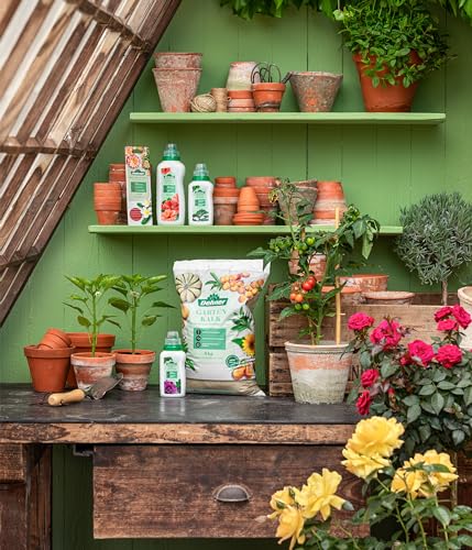 Dehner Hibiskusdünger, hochwertiger Flüssigdünger, Dünger für Hibiskus, organischer NPK-Dünger, mit Spurennährstoffen, 500 ml, für ca. 100 l, bunt