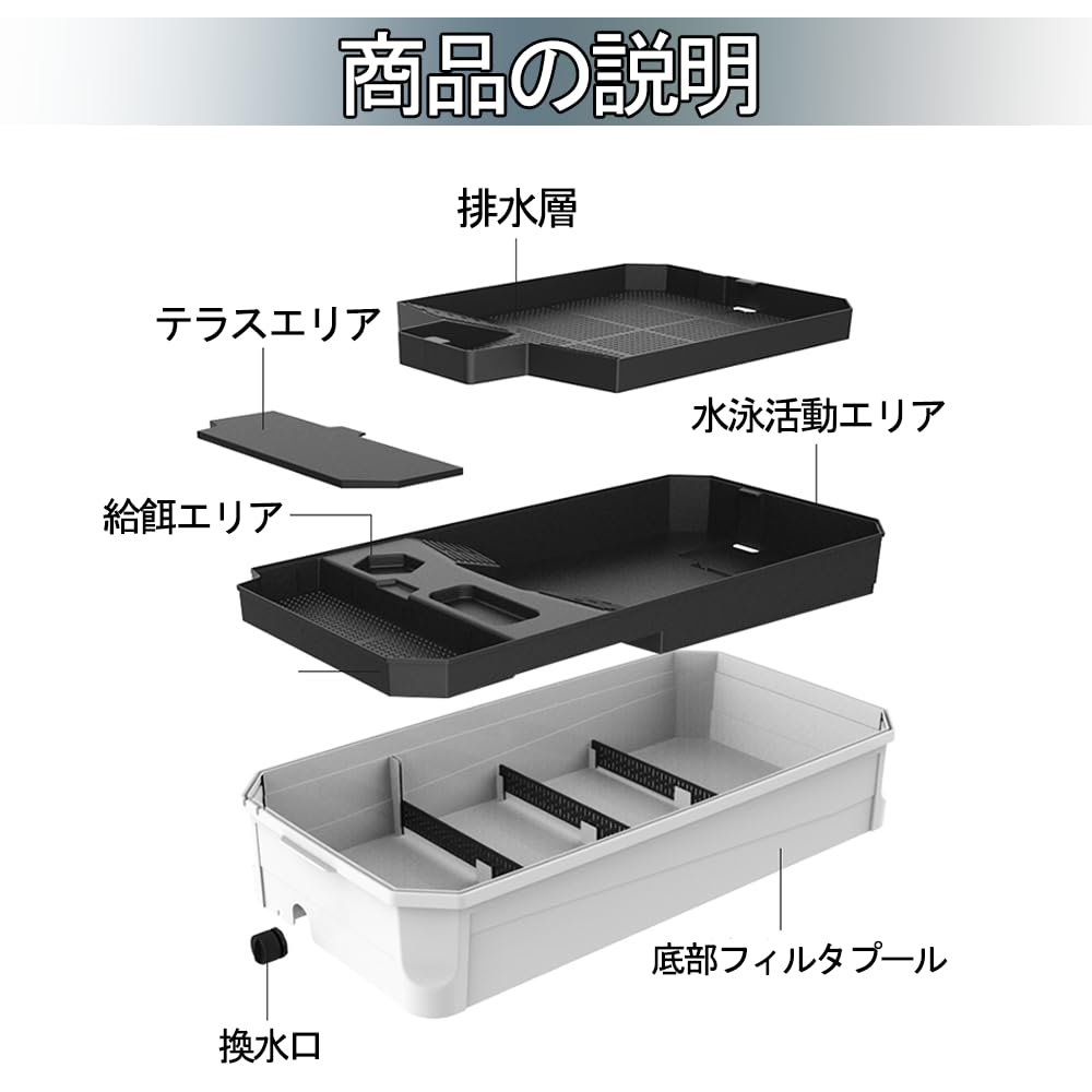 【みどりがめ】 ミズガメ 販売 爬虫類ショップ サウリア大阪守口店