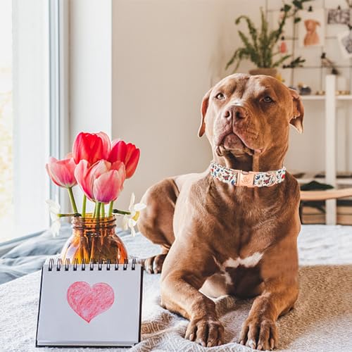 Collier pour chien motif rose édition Saint-Valentin sangle réglable souple
