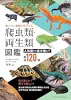 洋書　爬虫類・両生類　アトラス　大型本 カラーアトラスエキゾチックアニマル 爬虫類・両生類編 | 霍野