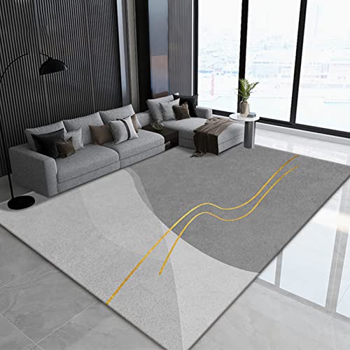 Tapis lavable 200x290 cm antidérapant et anti-perte pour salon moderne