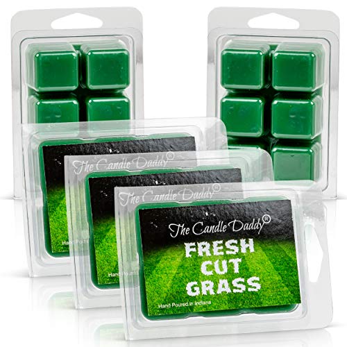 The Candle Daddy Fresh Cut Grass Scent - Maximum Scented Wax Cubes/Melts- 5 Packs -10 Ounces Total- 30 Cubes