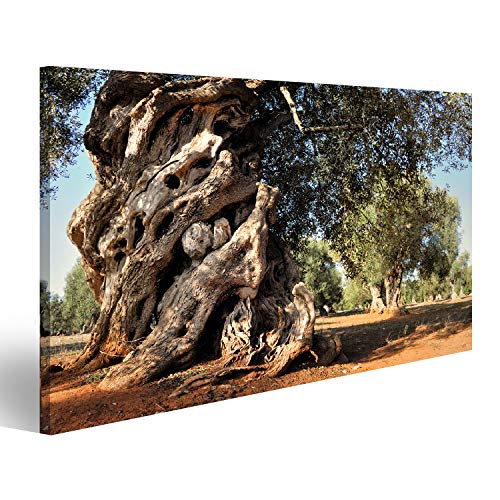 Spedizione veloce e sicura islandburner, Quadro Moderno Vecchio ulivo nel Giardino Stampa su Tela Quadri x Salotto Cucina mobili Ufficio casa PGS-1P-N