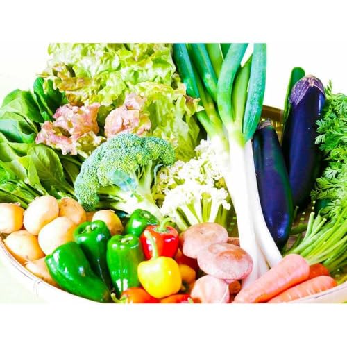 [3回定期便]地元農家さんが収穫した旬のお野菜 10種詰め合わせ /
