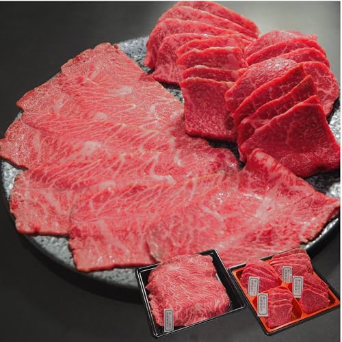 y{nz јa Y ēZbg 400g  Y A4 A5  ē   lCj[ X̖ a S S ē (2id:l)