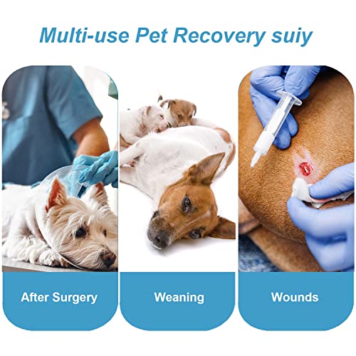 Image of Dog Surgery Suit Female Spay Recovery Suit for Dogs Surgical Recovery Suit for Female Dog Neuter Recovery Suit Male Dogs Onesie for Surgery Fits Small Medium Dog Yellow Lemon /Medium