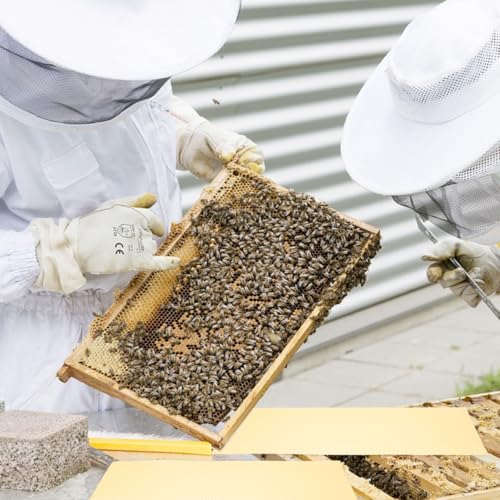 Photo complémentaire