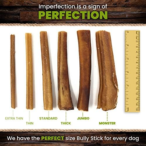 Do Bully Sticks Make Dogs Pee Smells Bad