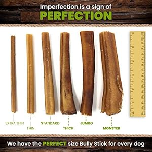   Sancho-Lolas-Bully-Sticks-for-Dogs-6-Inch-Standard-5-count-Moderate-Odor-High-Protein-Grain-Free-Beef-Pizzle-Dog-Chews