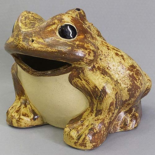Amazon.co.jp: 信楽焼陶器 置物 蛙 口開き 子1匹 6号 SV51-24 : ホーム