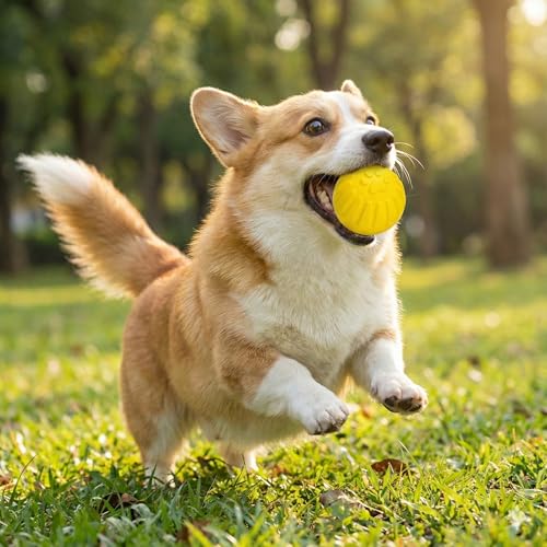 Image of Petarchi Premium RuffFoam Ball Dog Toy | Durable, Non-Toxic | Interactive Floating Pet Toy for Training, Tug Chew, Fetch & Water Play | Improves Dental Health | Indoor & Outdoor Play (Small, 7CM)