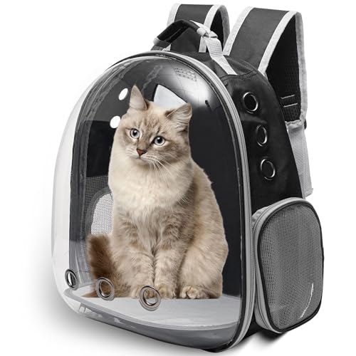 Vivicreate Large Transparent Bubble Backpack