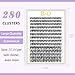 B&Q Lash Clusters 280PCS Natural Eyelash Clusters 40D D 9-16mm Individual Lash Wispy Eyelash Extension with Soft Thin Band Classic Look Pestañas Postizas Comfortable DIY at Home(40D-D-9-16mm)
