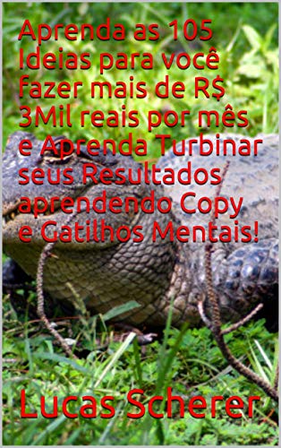 Aprenda as 105 Ideias para você fazer mais de R$ 3Mil reais por mês e Aprenda Turbinar seus Resultad