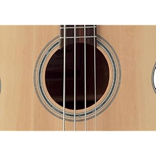 TAKAMINE Guitare Basse Electro cutaway - Les Beatles, Paul McCartney, John Lennon, RIngo Starr, George Harrison TAKAMINE Guitare Basse Electro cutaway – Image 2