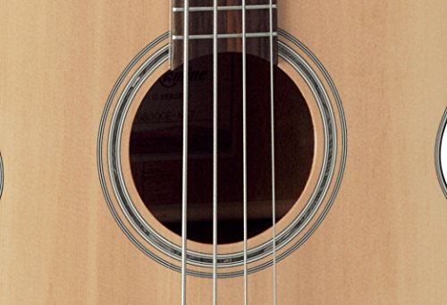 TAKAMINE Guitare Basse Electro cutaway - Les Beatles, Paul McCartney, John Lennon, RIngo Starr, George Harrison TAKAMINE Guitare Basse Electro cutaway – Image 3